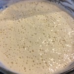 My sourdough starter!  I'll be sharing some of this at the library program this week!